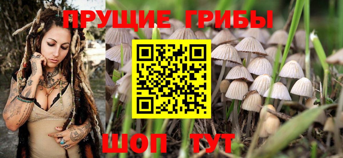 Ухта  Галлюциногенные грибы мицелий  Вход с VPN 